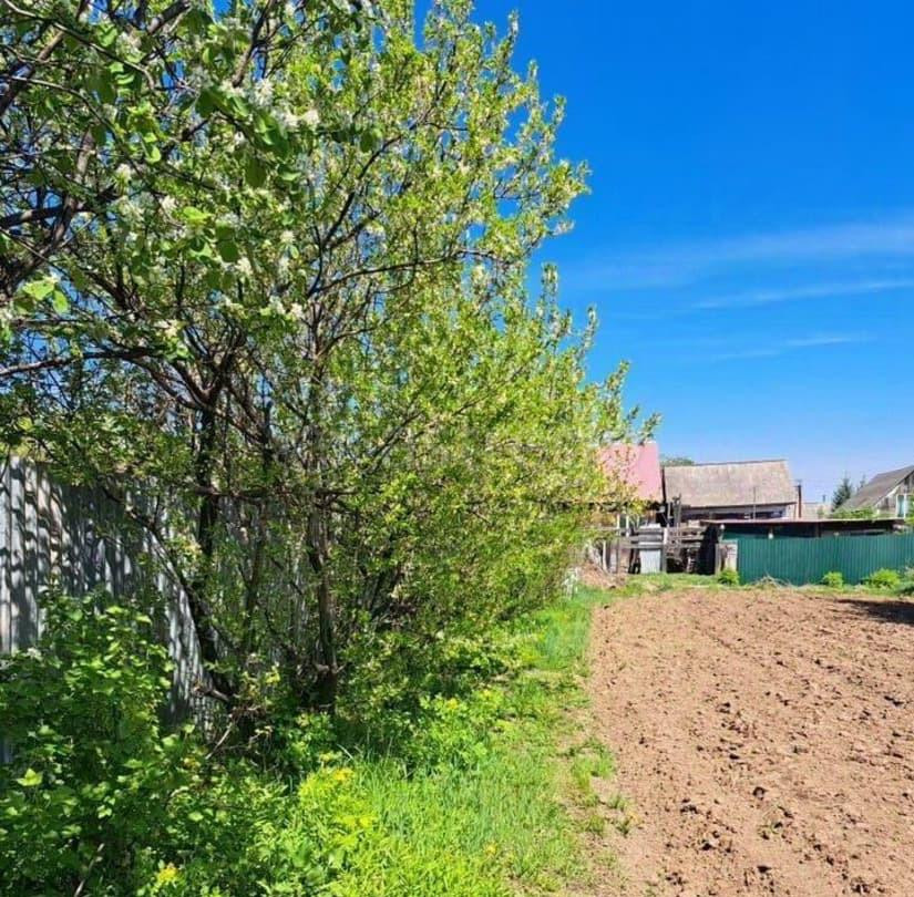 Дом, 28 м2, 10 соток, 2 эт. Свободный - изображение 3