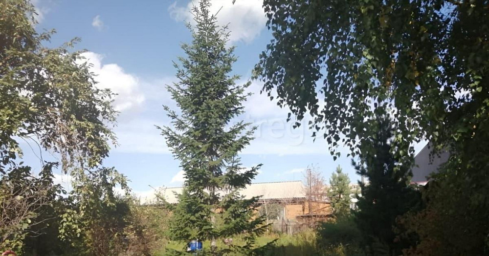Дом, 70 м2, 14 соток, 1 эт. Красноярск - изображение 3