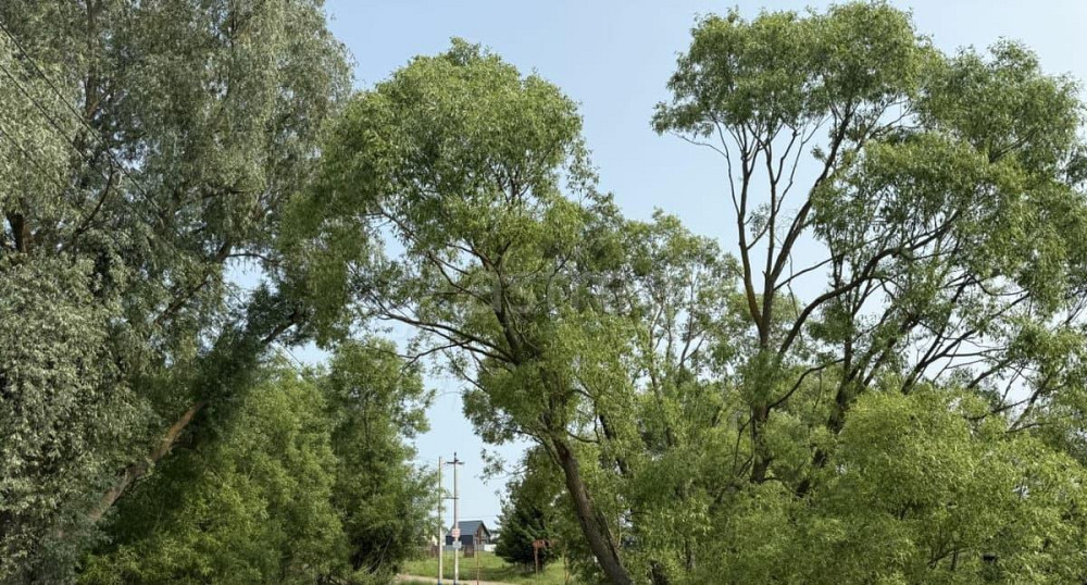 Земельный участок, 8.17 сотки Домодедово - изображение 1