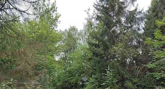 Земельный участок, 11 соток Щёлково