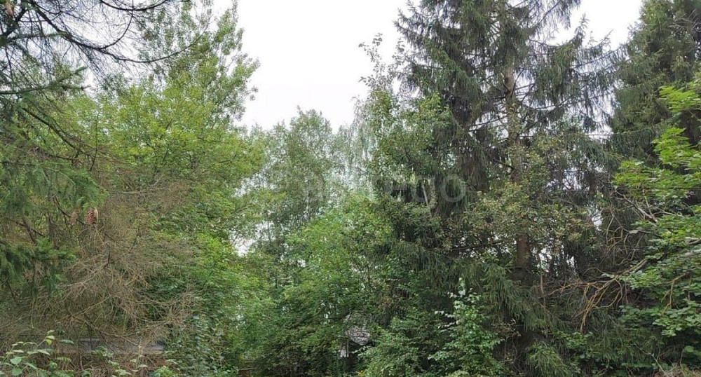 Земельный участок, 11 соток Щёлково - изображение 2