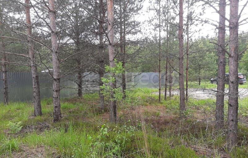 Земля под ИЖС, 9 соток Павловский Посад - изображение 3