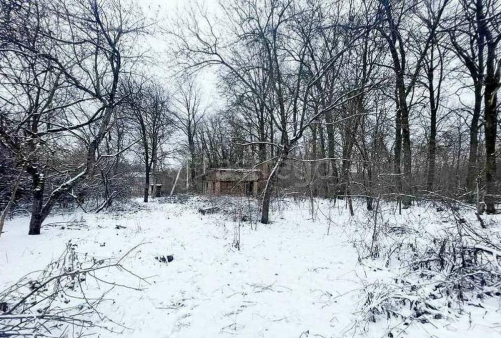 Дача, 24.97 м2, 4.5 сотки Стрелецкое - изображение 4