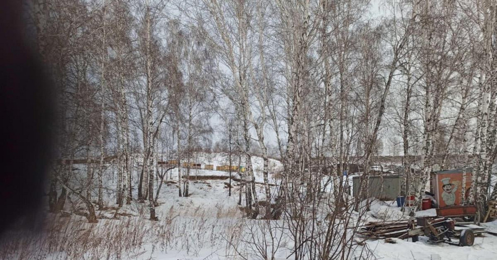 Земельный участок, 1.1 га Емельяново - изображение 3