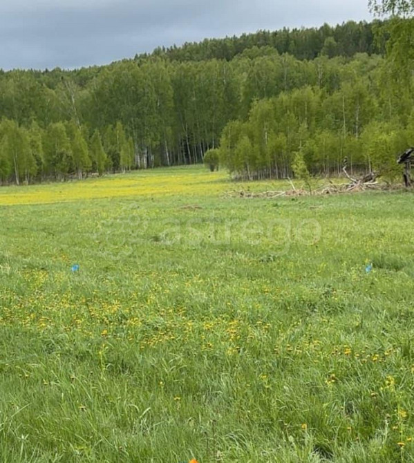 Земельный участок, 6 соток Емельяново - изображение 1