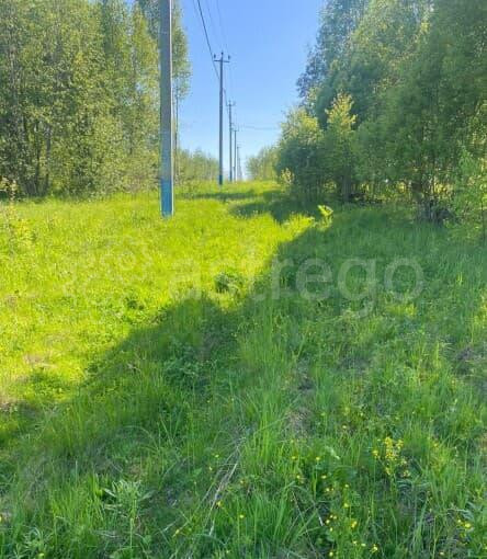 Земля под ИЖС, 15 соток Дмитров - изображение 3