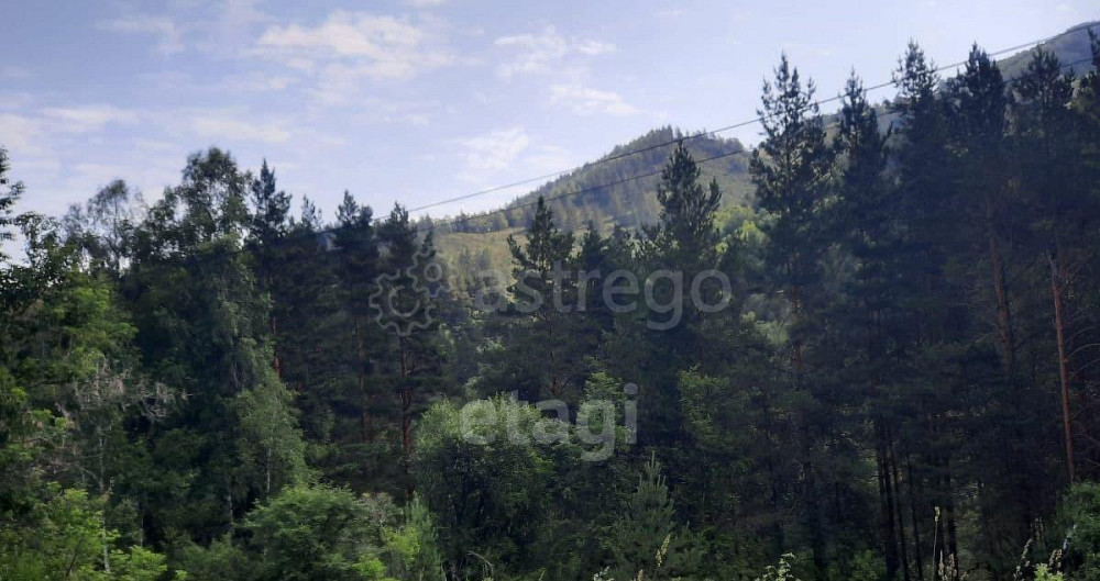 Земельный участок, 1.8 га Алтайское - изображение 3