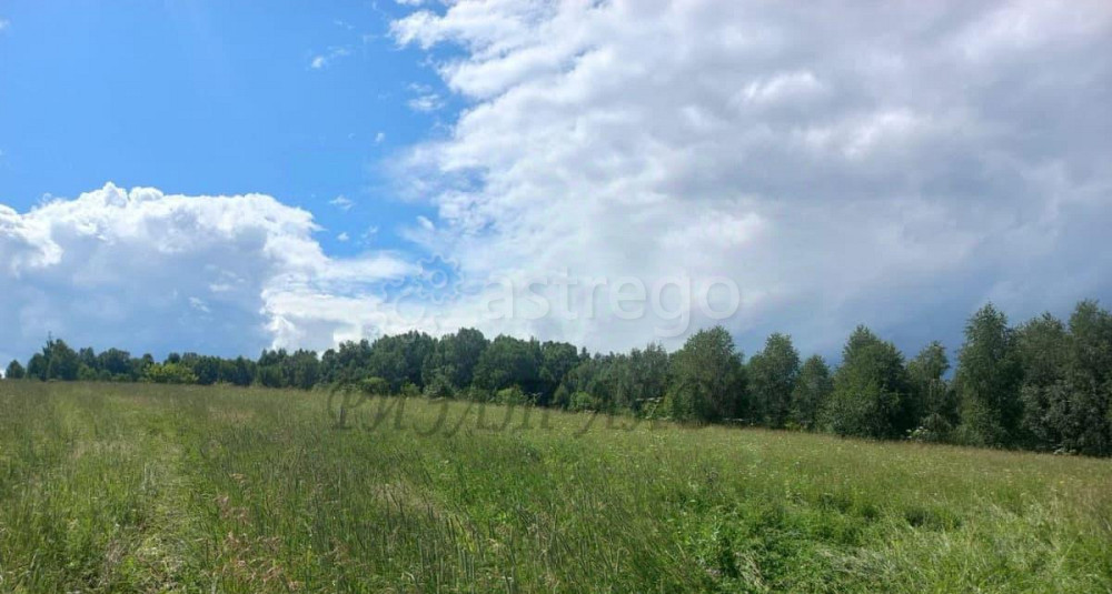 Земельный участок, 7.8 сотки Майма - изображение 7