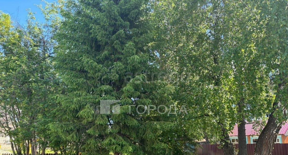 2-комн. квартира, 62 м2, 1/2 эт. Тальменка - изображение 4