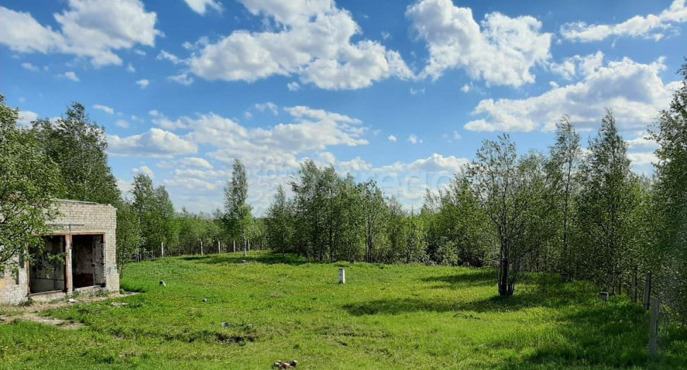 Коммерческий участок, 1.29 га Северодвинск - изображение 3