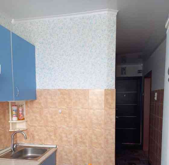 1-комн. квартира, 30 м2, 9/9 эт. Барнаул