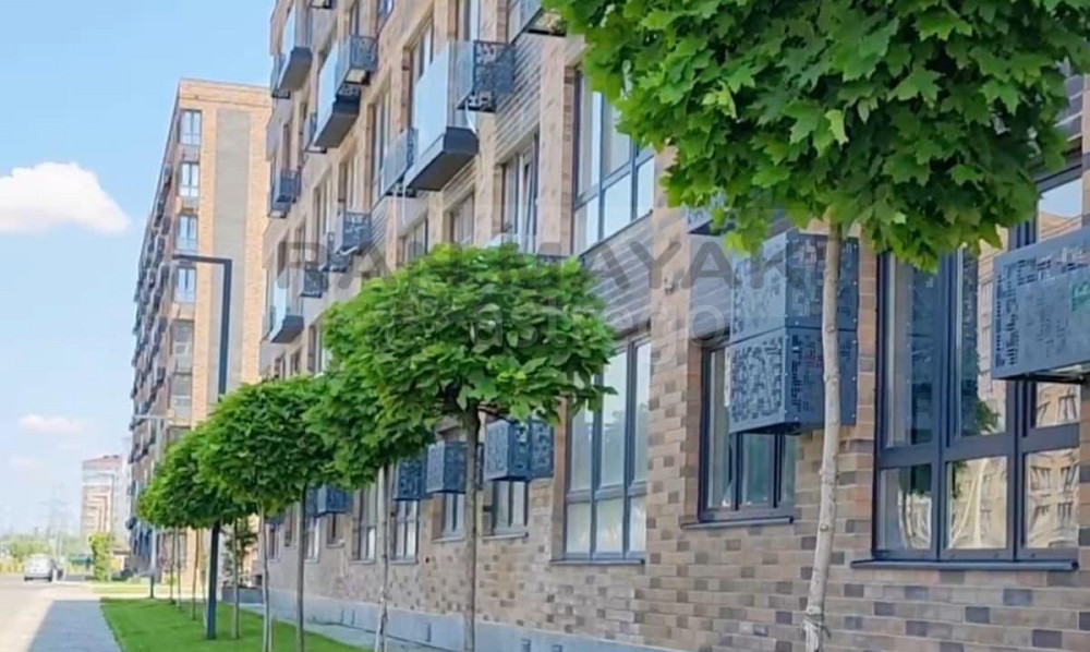 Торговое помещение, 39.35 м Майкоп - изображение 3