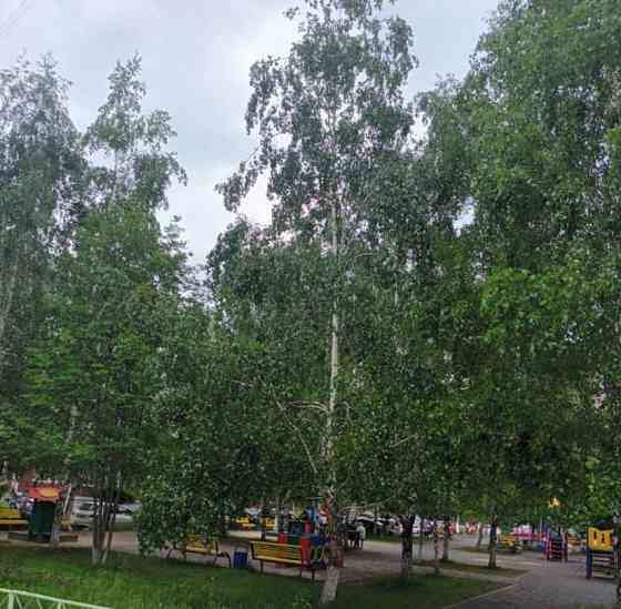 4-комн. квартира, 82.1 м2, 3/7 эт. Красноярск