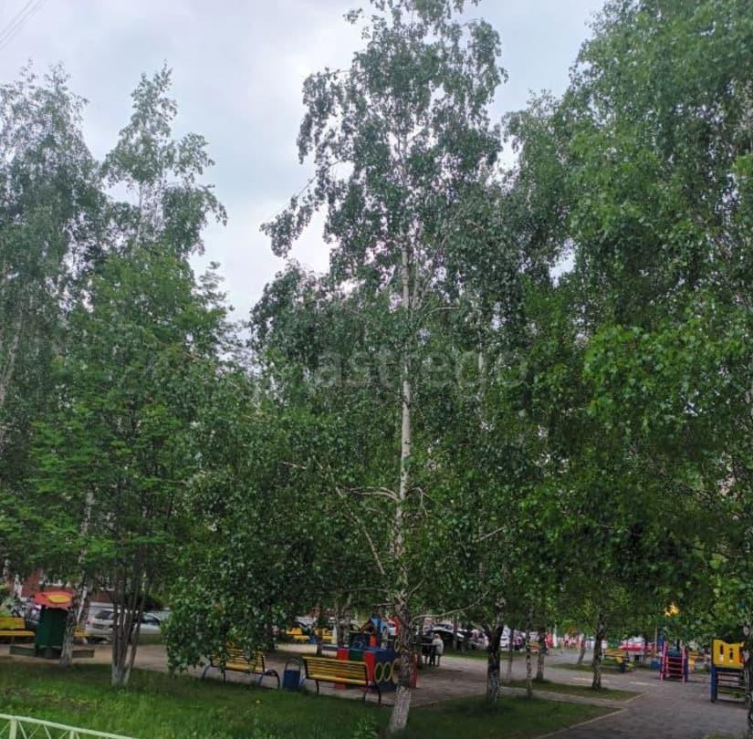 4-комн. квартира, 82.1 м2, 3/7 эт. Красноярск - изображение 3