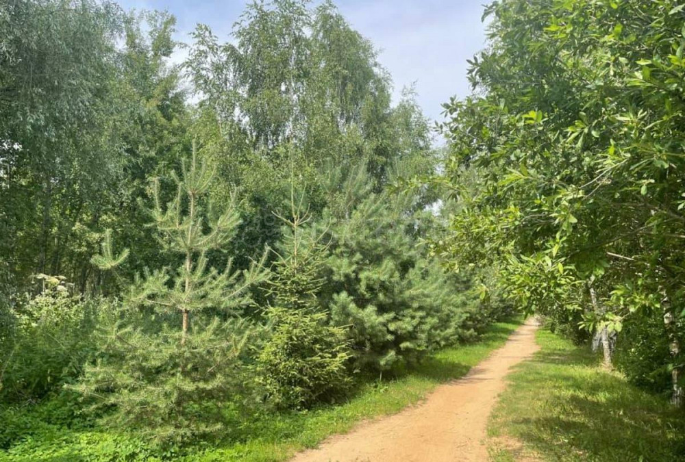 Коттедж, 194.6 м2, 6 соток, 2 эт. Балашиха - изображение 3