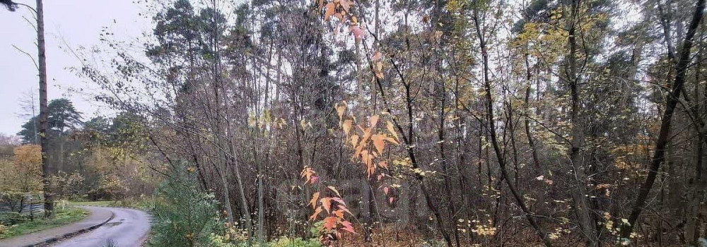 Земельный участок, 16.76 сотки Королев - изображение 5