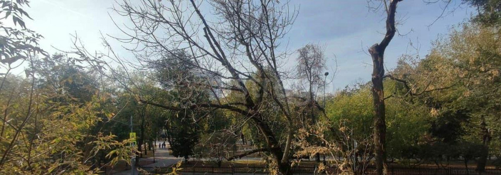2-комн. квартира, 42 м2, 2/9 эт. Москва - изображение 4