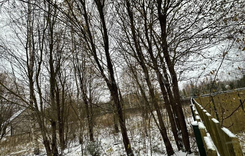 Земельный участок, 9 соток Можайск - изображение 10