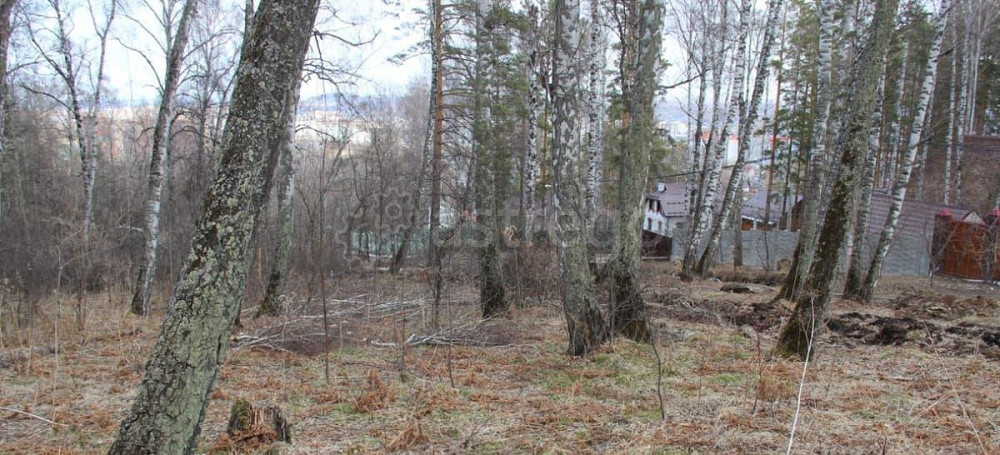 Земельный участок, 11.89 сотки Красноярск - изображение 5