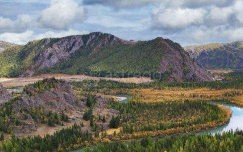 Земельный участок, 1 га Алтайское - изображение 2