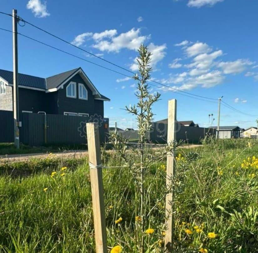 Земельный участок, 6.02 сотки Раменское - изображение 6