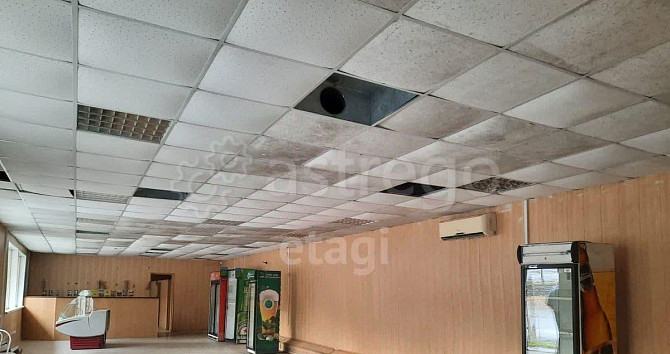 Торговое помещение, 530.3 м2 Алтайское - изображение 5