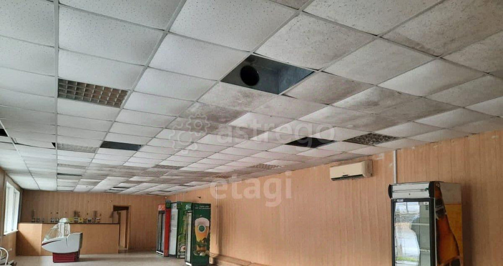 Торговое помещение, 530.3 м2 Алтайское - изображение 5