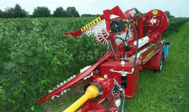 Комбайн полурядный для осенней малины Natalka Красногорск - изображение 1