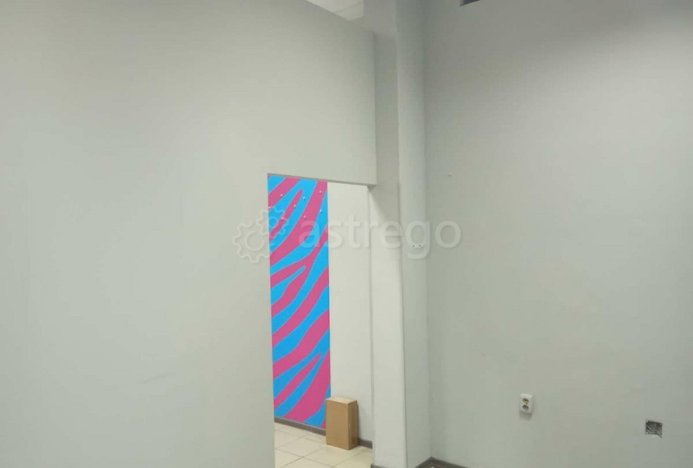 Торговое помещение, 30 м2 Архангельск - изображение 6