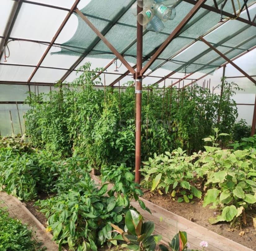 Коттедж, 400 м2, 7.7 сотки, 2 эт. Благовещенск - изображение 2