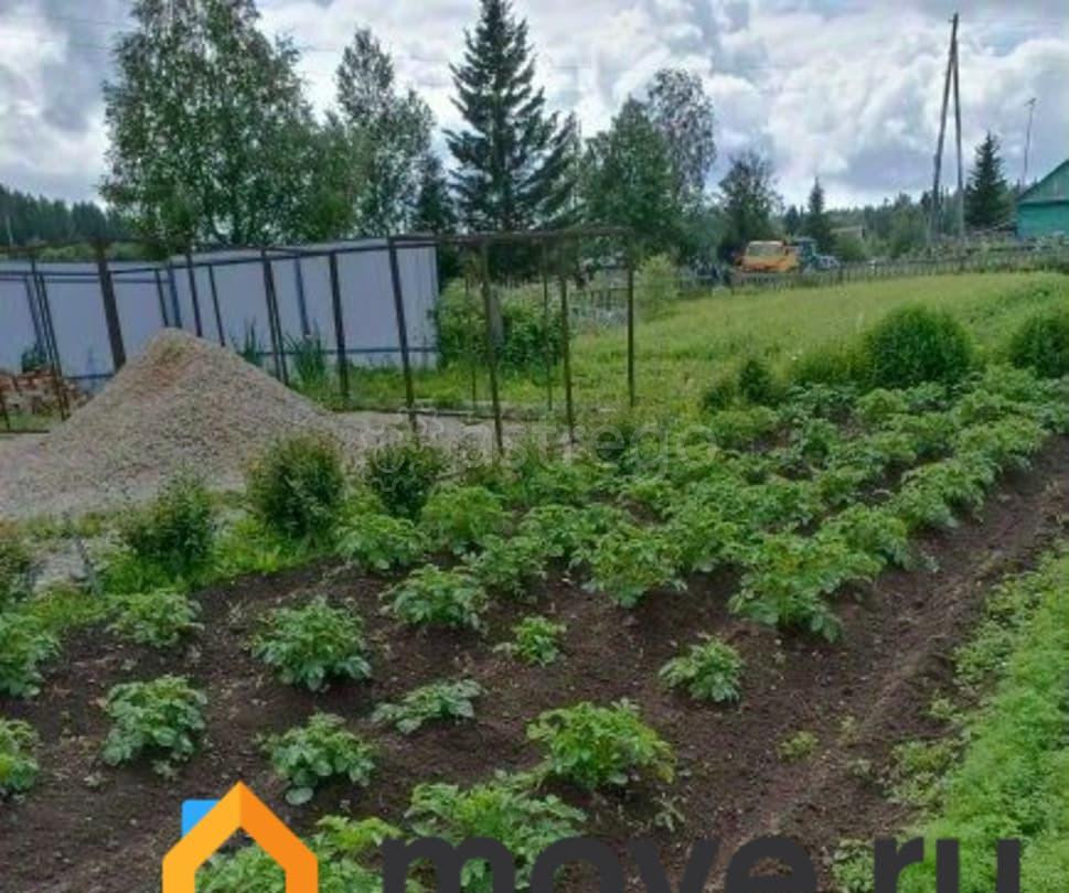 Земельный участок, 10 соток Емельяново - изображение 3