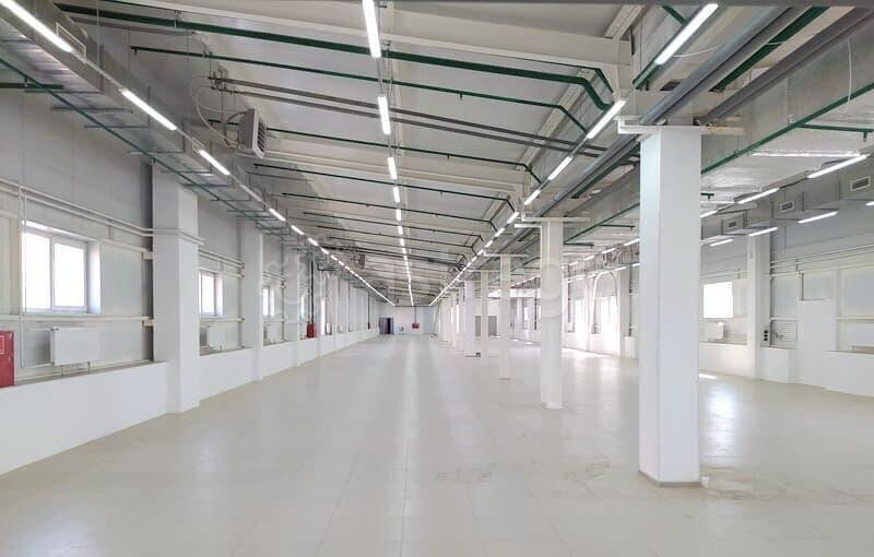 Торговое помещение, 500 м2 Фрязино - изображение 4