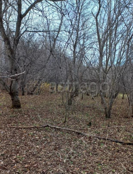 Коммерческий участок, 10 га Белокуриха - изображение 4