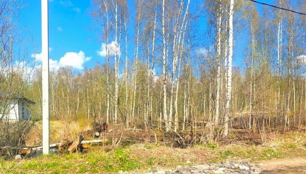 Земельный участок, 12 соток Санкт-Петербург - изображение 7