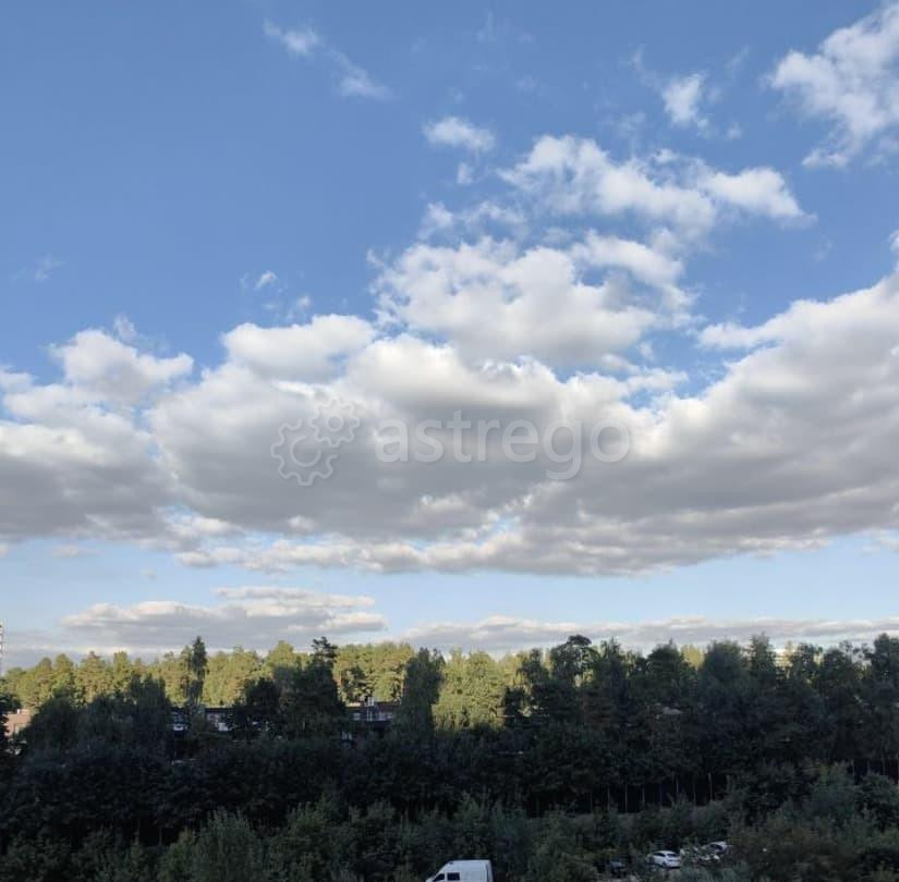 Студия, 25 м2, 8/30 эт. Красногорск - изображение 3