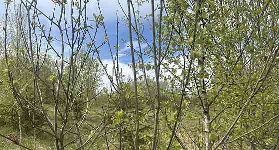 Земельный участок, 9 соток Истра