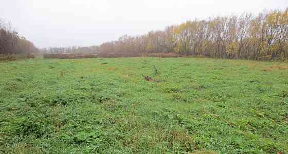 Земельный участок, 15 соток Архангельск