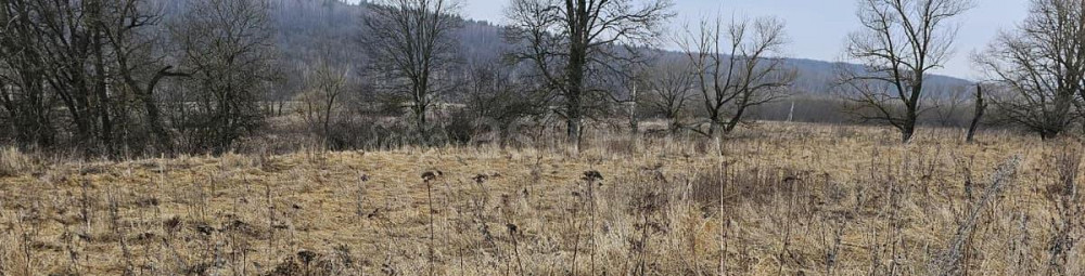 Земельный участок, 20 соток Луховицы - изображение 1