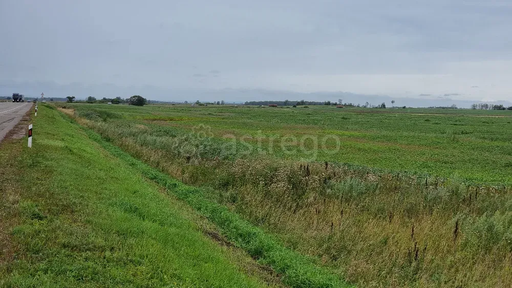 Сдам участок, Фермерский, 25200 сот., долгосрочно Благовещенск - изображение 3