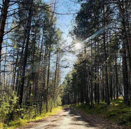 Дом, 60 м2, 10 соток, 1 эт. Березовка