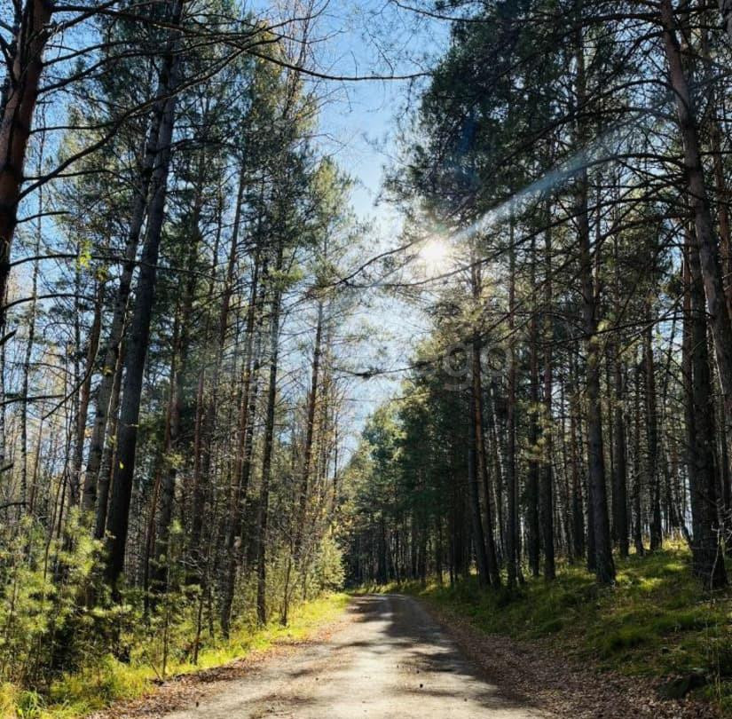 Дом, 60 м2, 10 соток, 1 эт. Березовка - изображение 1