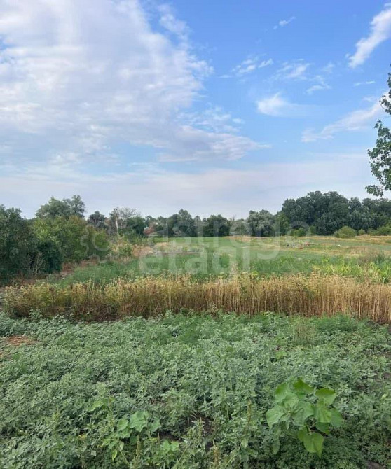 Дом, 51.2 м, 10.1 сотки, 1 эт. Гиагинская - изображение 4