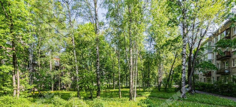 Комната, 9.5 м2, 1/5 эт. Санкт-Петербург - изображение 7