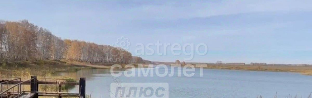 Коммерческий участок, 100 га Камень-на-Оби - изображение 2