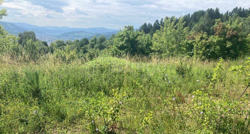 Земельный участок, 6.1 сотки Горно-Алтайск - изображение 3