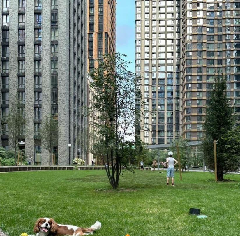 2-комн. квартира, 43 м2, 18/30 эт. Москва - изображение 3