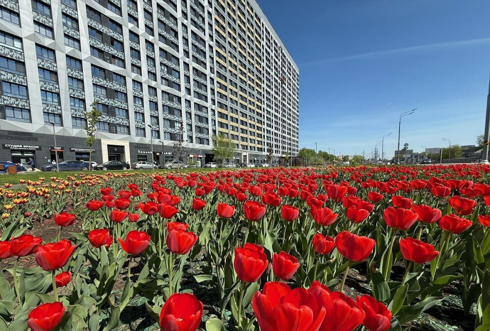 1-комн. квартира, 20 м2, 11/52 эт. Москва - изображение 7