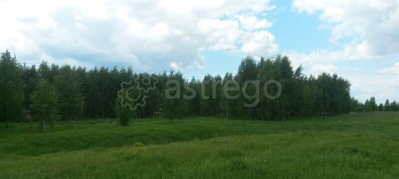 Земля под ИЖС, 8 соток Павловский Посад - изображение 9