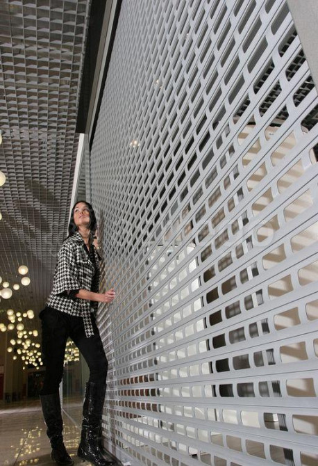 Рольставни решетчатые Ульяновск - изображение 1