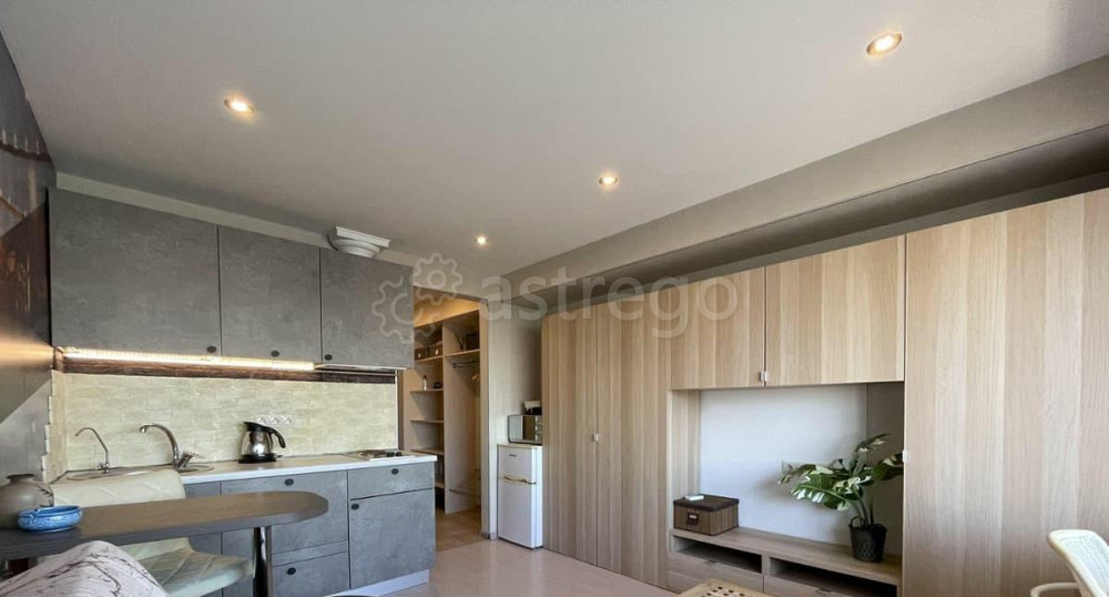 Студия, 20 м2, 10/15 эт. Москва - изображение 3
